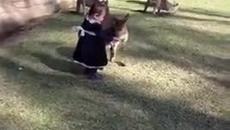 Малко момиченце гали кенгуро в зоопарка - Videoclip.bg