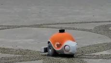 Робот художник рисува на плажа - Videoclip.bg
