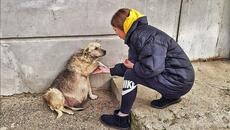 Street Dog Grabbed my Hand and her Eyes were Begging for Help ... I couldn't pass by - Videoclip.bg