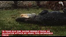 10-year-old girl saved herself from an alligator attack by using this incredible trick - Videoclip.bg