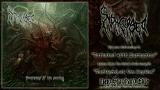 Submerged - "Infested with Barnacles" (Tortured at the Depths | NSE 2024) - Videoclip.bg