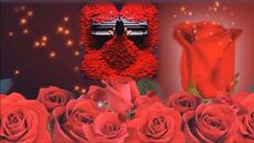 beautiful rose ( Piano music) 2025 - Videoclip.bg