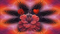 Un fiore per te (Outta Love) - Videoclip.bg