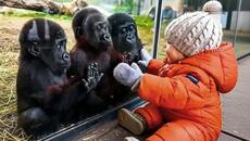 When Your Baby and Animals Become the Sweetest Duo Ever ❤️ - Videoclip.bg