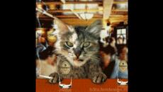 Спри Лейля Türkey MegaRemıx - Videoclip.bg