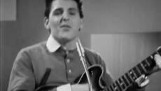 The Searchers (1964) - Saturday Night Out - Videoclip.bg