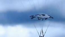 Гафове - Videoclip.bg