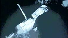 VELVET UNDERGROUND - Venus In Furs (Lead Vocal Muted) Blocked Words Karaoke Remix Stripped Version - Videoclip.bg