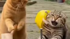 строителен обект - Videoclip.bg