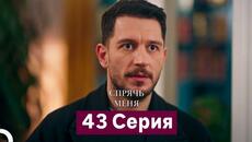 Спрячь Меня 43 Серия (Русский Дубляж) - Videoclip.bg