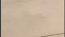 Ама че тъпа котка,ще припадна от смях...... - Videoclip.bg