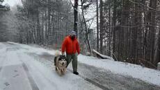 Куба и САЩ преговарят! Американски и кубински представители имат тайна среща в Мексико – 01.02.2026 - Videoclip.bg