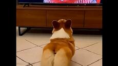 УУУУУХ   ХХХХА  ААААААААА........... - Videoclip.bg