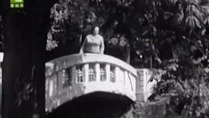 Ирина Чмихова - Тригодишна мъка - Videoclip.bg