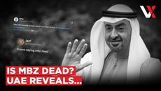 Dead Or Disinfo? UAE President MBZ's "Brain Clot" Rumours Swell After Erdoğan Cancels Visit | VERTEX - Videoclip.bg