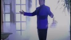 Tom Jones - Love Is In The Air - Videoclip.bg