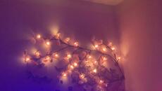 Тази красота майка ми я направи с сакура имитира в телевизора като лед лампа тв - Videoclip.bg