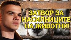 Мартин Янчев за зоофилът Жельо: Затвор за насилниците на животни. - Videoclip.bg