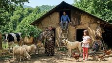 Busy Day in the Village | Bringing Leaves by Donkey & Cooking Delicious Kuku Sabzi - Videoclip.bg