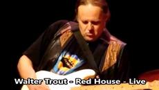 Walter Trout - Red House - live - Videoclip.bg