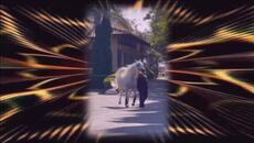 Dancin' White Horses (Italo-Disco Cover) Владимир Ланчев - Videoclip.bg