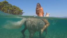 Езда в морето - как хора и животни се разхлаждат в жегите в Хърватска - Videoclip.bg