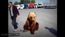 Ето какво е научл мечока Тима от руските тираджии - Videoclip.bg
