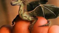 Сърцето на дракона 3 Проклятието на магьосника (2015 Dragonheart 3) Превод - Videoclip.bg