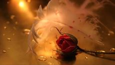 John Sokoloff - Gina´s Gone - Videoclip.bg