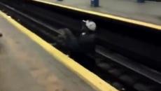 Мъж рискува живота си и спасява котка паднала при релсите на метростанция - Videoclip.bg