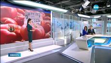 Български домати ще има на пазара след 1 април заради дъждовете - Videoclip.bg