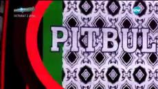 Криско като Pitbull - Като две капки вода - Videoclip.bg