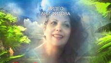 НЕ ИСКАМ МНОГО... - Videoclip.bg