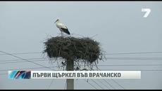 Първият щъркел долетя в България във Врачанско село - Videoclip.bg