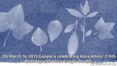 Anna Atkins' 216th Birthday Google Doodle - 216 г. от рождението на първата жена-фотограф - Videoclip.bg