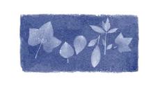 Анна Аткинс (Anna Atkins) е известен английски ботаник и фотограф Google Doodle - Videoclip.bg