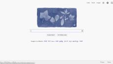 Анна Аткинс - Anna Atkins Birthday Google Doodle Celebrates Today March 16 -03-2015 - Videoclip.bg