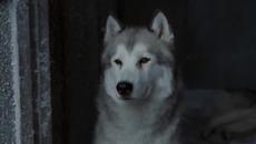 Gregorian - Gregorian Moment of Peace vs antarktika - Videoclip.bg
