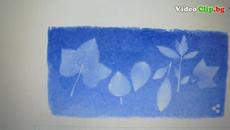 Анна Аткинс (Anna Atkins) Първата жена-фотограф, ботаничка Google Doodle - Videoclip.bg