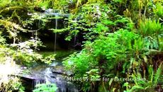 Relax - The Beauty of Nature - Videoclip.bg