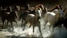 Sarah Brightman - This Love & Lyrics HD - Videoclip.bg