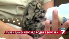 За първи път! Димен леопард се роди в зоопарк - Videoclip.bg