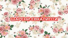 НОВО!! ШАРЕНИ ЕВКАЛИПТИ!! ФАКТИТЕ №7 - Videoclip.bg