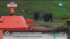 Граничните полицаи в Елхово излизат на протест5 - Videoclip.bg