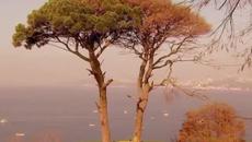 До последен дъх - Епизод 14 - NovaTv Play - Videoclip.bg