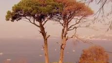 До последен дъх - Епизод 10 - NovaTv Play - Videoclip.bg