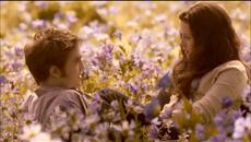 Chris de Burgh- Here is your Paradise - Videoclip.bg