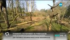 Маймуна свали дрон с пръчка в холандски зоопарк - Videoclip.bg