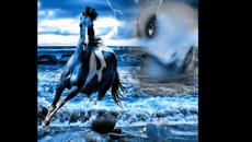 annie lennox - Videoclip.bg