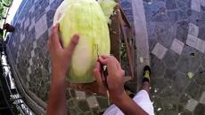 Вижте изключително красиво изкуство с диня (ВИДЕО) - Videoclip.bg